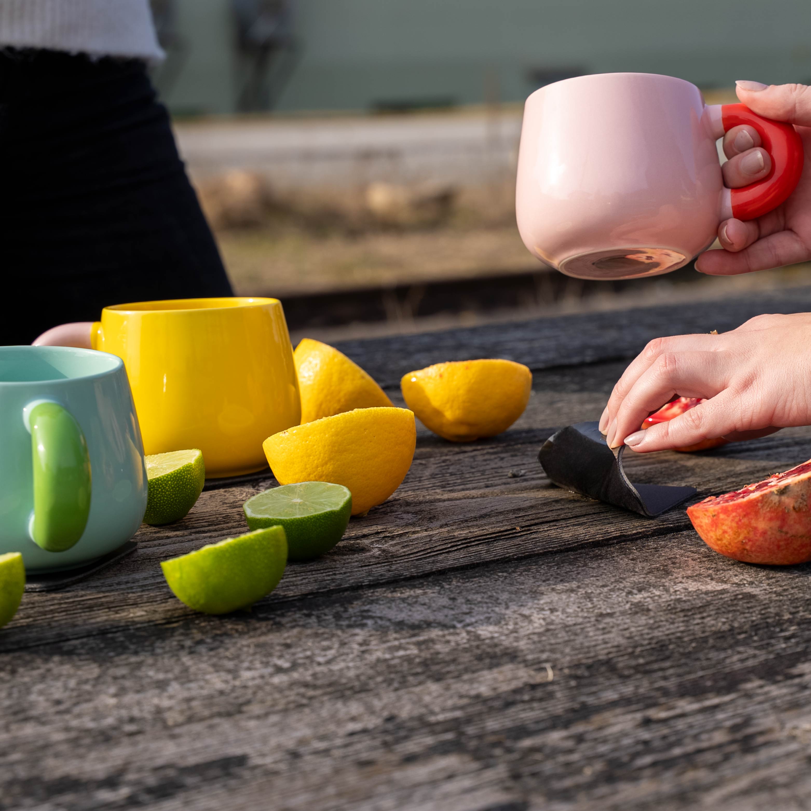 Magnet-Henkel-Potts SUMMERSORBET