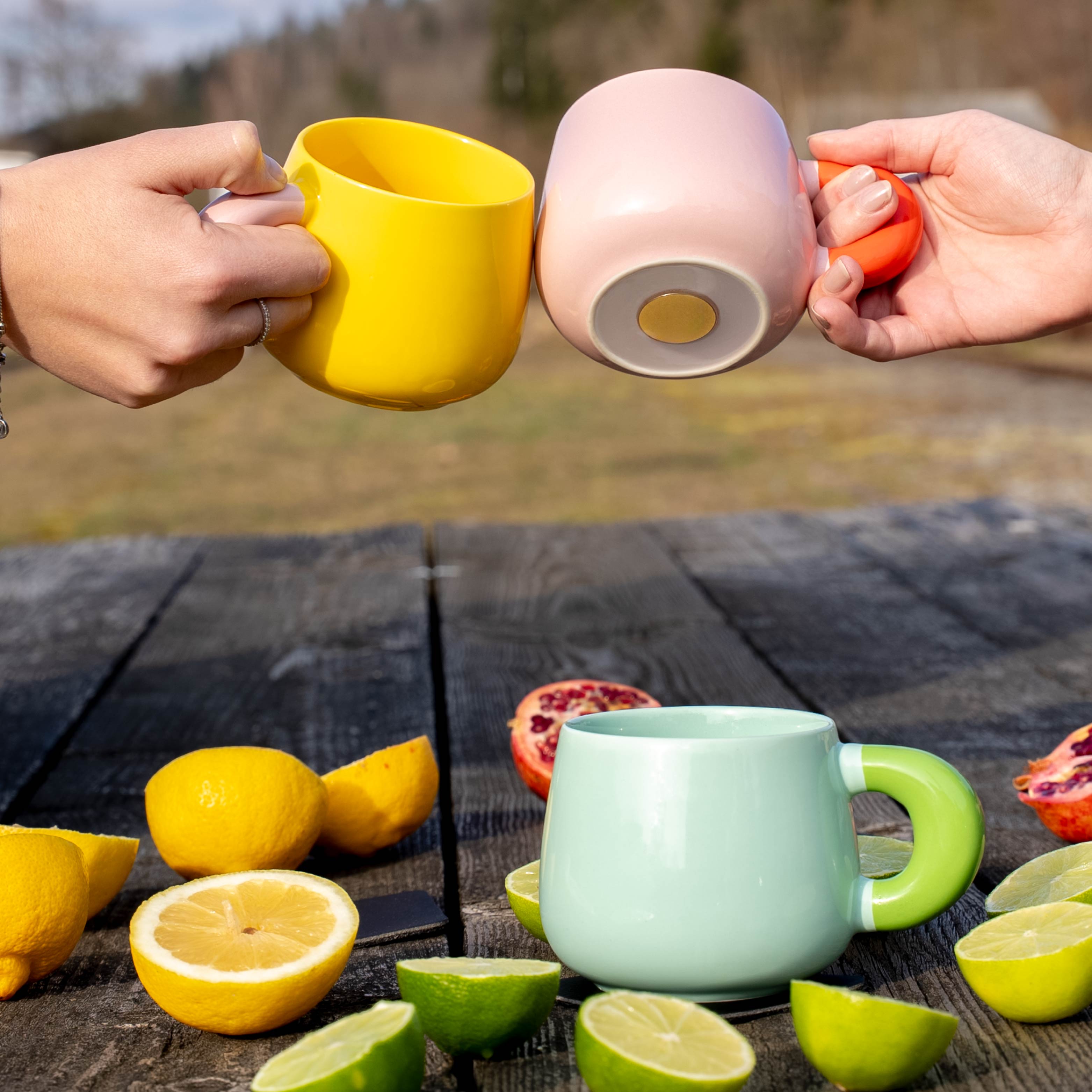 Magnet-Henkel-Potts SUMMERSORBET