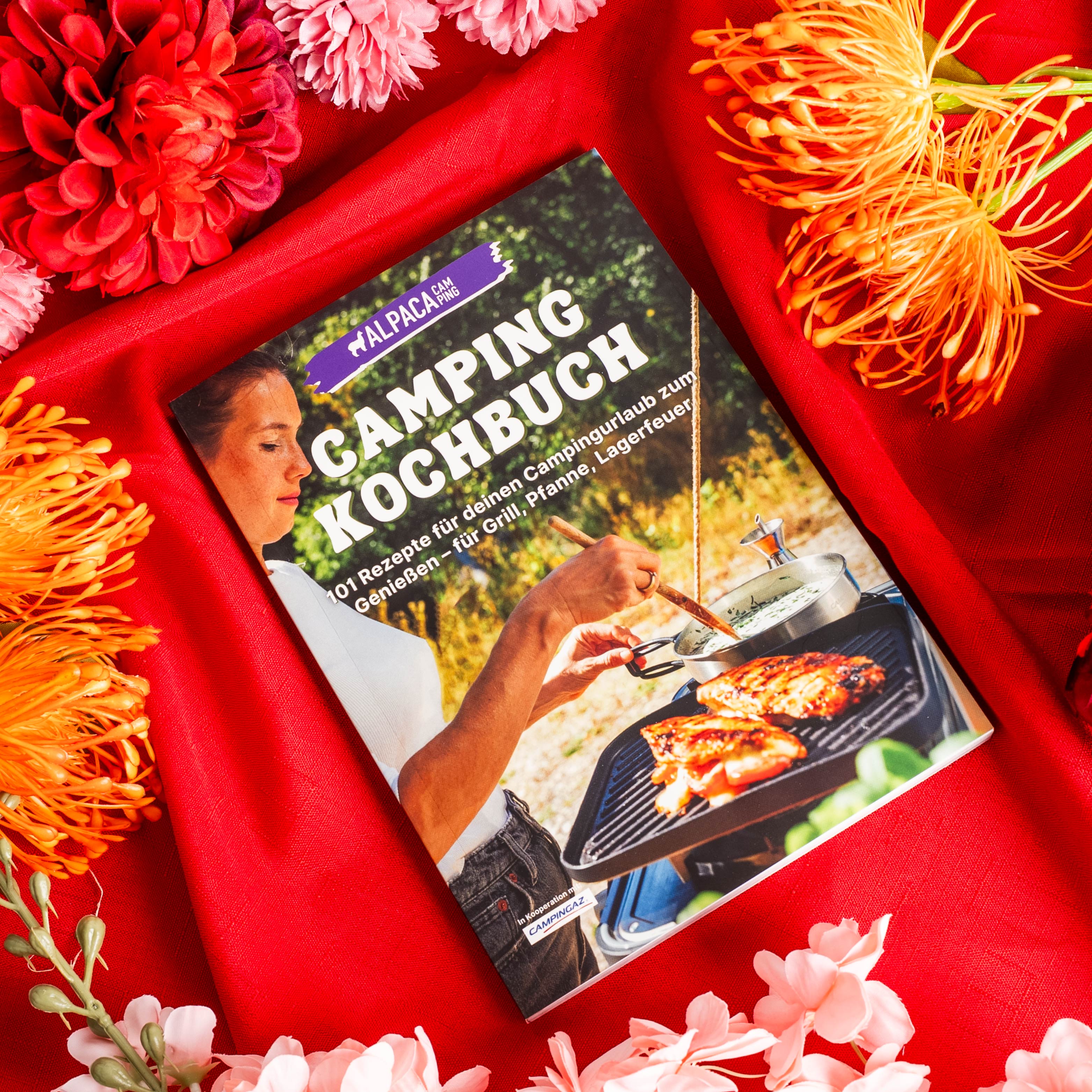 Magnet-Küchenrollenhalter inkl. Metall-Leiste und Camping Kochbuch